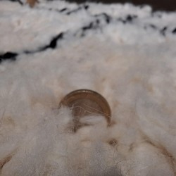Tapis berbère ORIGINAL écru en laine avec design noir